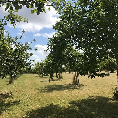 Vakantiehuizen 'T Centrum Oostkapelle Eksteriør billede